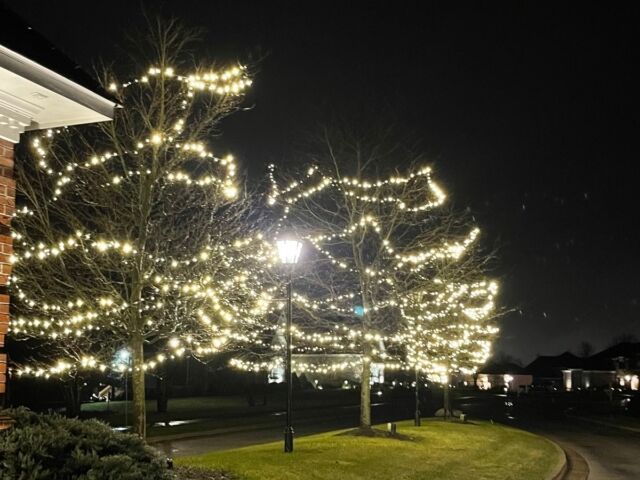 residential christmas Indianapolis, IN
