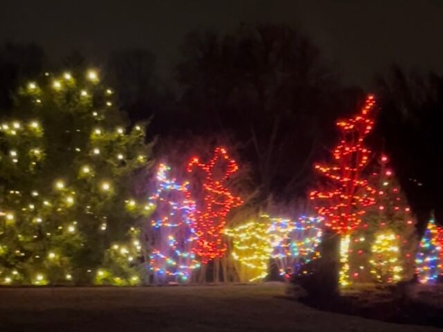 residential christmas lights Indianapolis, IN