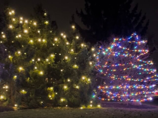 residential christmas Indianapolis, IN