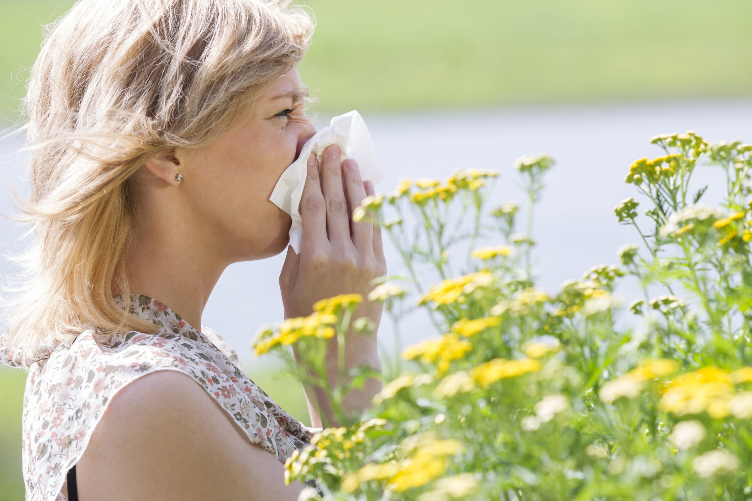 Side view of woman blowing nose into tissue in front of flowers. Pressure Wash Pollen