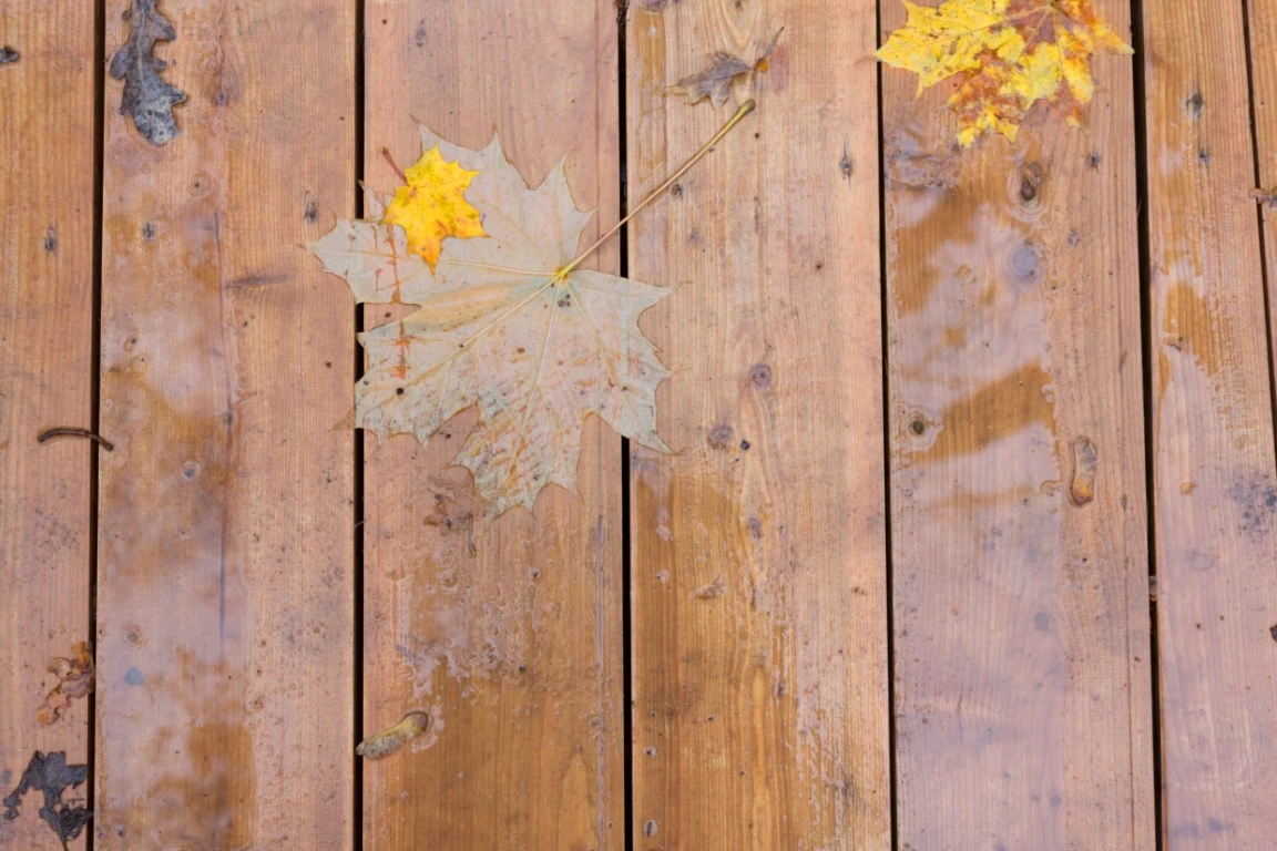 Why Fall Is The Perfect Time To Pressure Wash Your Home Indianapolis Indiana Pressure Washing
